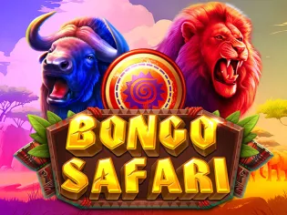 Bongo Safari game icon