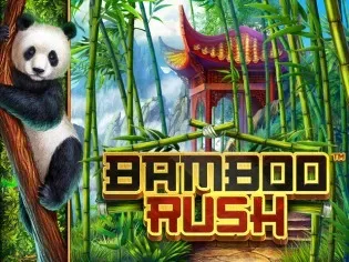 Bamboo Rush screenshot